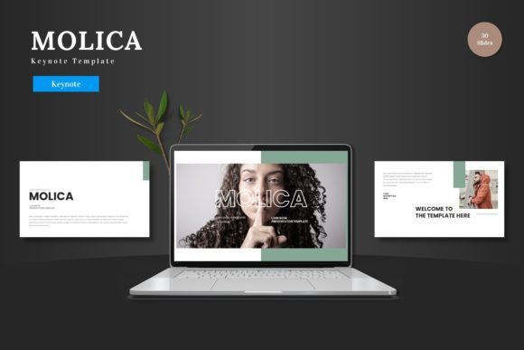 Molica - Keynote Template: Modern Slides for Your Next Presentation